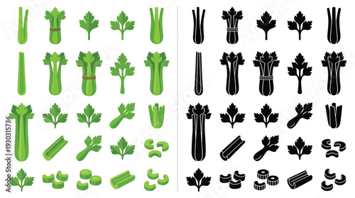 Collection of Celery Stalks, Leaves, and Slices in Both Color and Silhouette Styles.