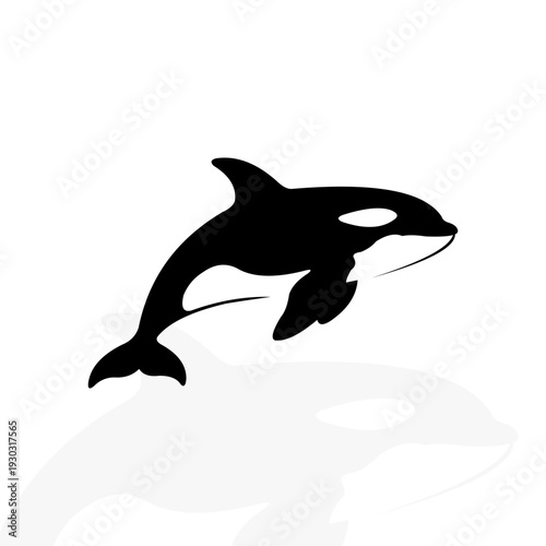 Orca Whale  Logo Ilustrator