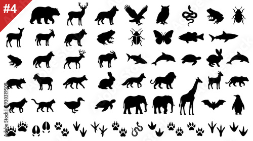 Animal Silhouette and Footprint Icon Set #4 – Diverse Wildlife Illustrations Featuring Mammals, Birds, Insects, and Tracks for Nature Graphics and Educational Projects