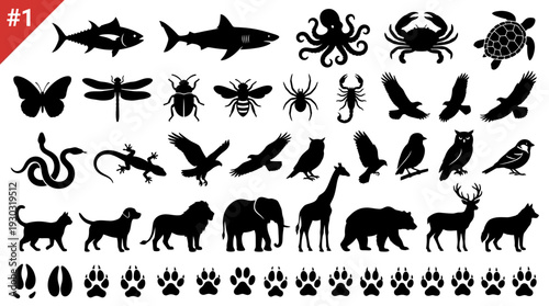 Animal Silhouette and Footprint Icon Set #1 – Diverse Wildlife Icons Featuring Mammals, Birds, Insects, Reptiles, and Tracks for Nature Graphics and Educational Projects