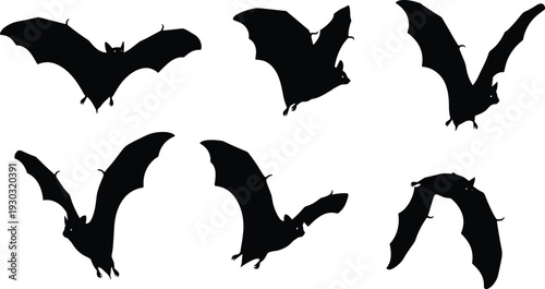 Bat silhouette illustrations, flying positions, wing motion, nocturnal animal design, Halloween theme, black vector art, nature wildlife concept collection