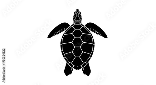 Vector sea turtle icon