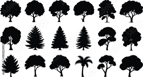 Tree silhouette set isolated on white background, deciduous evergreen pine and palm trees black forest nature vector collection