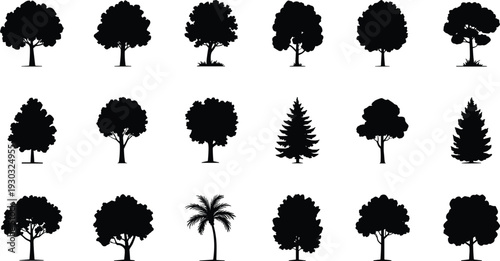 Tree silhouette collection isolated on white background, various deciduous pine and palm trees black nature vector illustration set