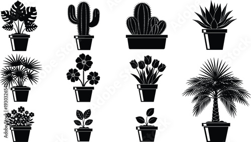Black silhouette vector set of various indoor house plants including monstera cactus tulips palm tree and blooming flowers isolated on a plain white background.