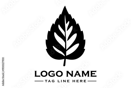 Monochrome graphic design featuring a spring branch silhouette with a botanical leaf element and simple twig vector on a clean white background.