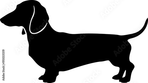 Dachshund Dog Silhouette Isolated Graphic Icon