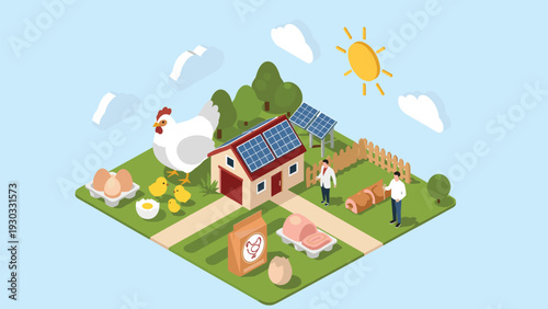 Isometric view of a sustainable chicken farm with solar panels on a house, hens, chicks, eggs, and farmers working in a field.