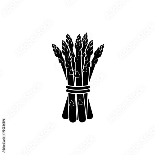 Bundle of asparagus spears tied together with string for culinary preparation