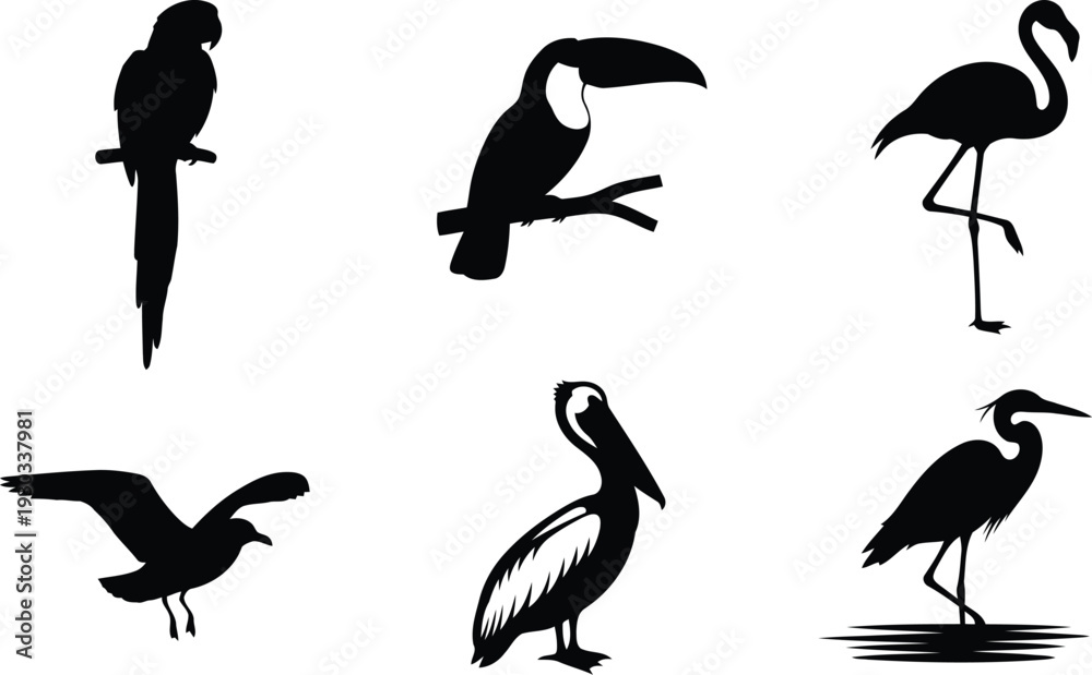 Fototapeta premium Tropical bird vector silhouette set with parrot, toucan, flamingo, pelican, heron, seagull