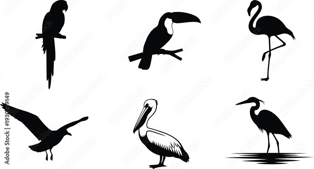 Fototapeta premium Tropical bird vector silhouette set featuring flamingo, toucan, pelican, parrot, and heron designs