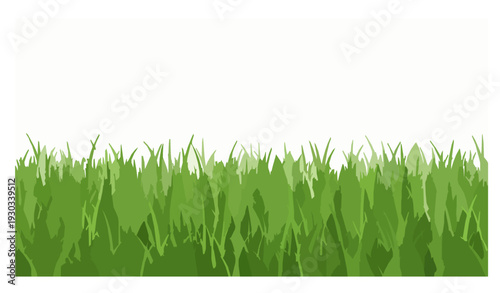 green grass isolated on white