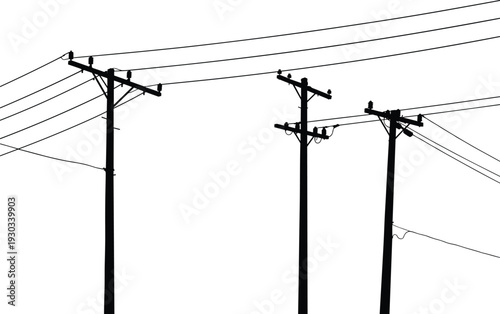 Silhouette of utility poles with crossarms, insulators, power lines, rural electricity distribution, energy infrastructure, industrial landscape, high voltage electrical grid