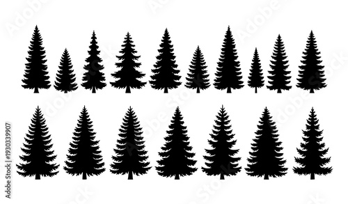 Pine and spruce tree silhouette collection vector set isolated on white background
