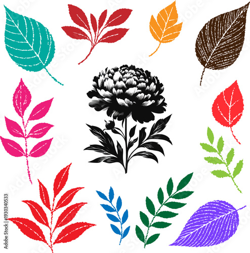 Roughening Colorful Hand Drawn Autumn Leaves and Peony Flower Vector Set, Floral Elements for Nature Design