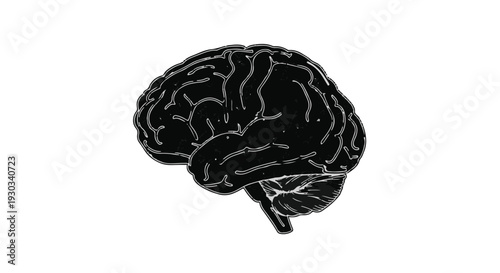 Striking black silhouette of a human brain against a clean white background, symbolizing thought and intellect.