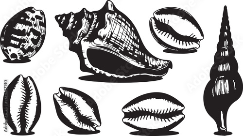 Hand drawn Sea shells freehand line art summer marine design elements collection with abstract pastel color liquid shapes. Vector illustration.