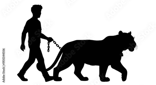 Silhouette of a man walking a large cat on a leash in the evening