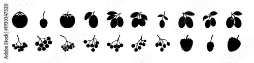 Black Fruit and Berry Silhouette Icon Set -
Assorted black fruit and berry silhouettes isolated on white background, ideal for organic food branding, healthy eating themes, and grocery design.