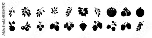 Black Fruit and Leaf Silhouette Icon Set -
Black Fruit and Leaf Silhouette Icon Set