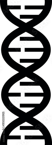 Stylized depiction of a double helix dna structure black and white