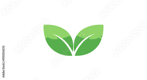 Minimal Leaf Eco Concept Illustration