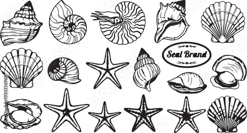 Simple black and white illustration of a single scallop seashell outline