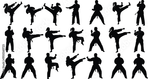Silhouettes of male and female martial artists practicing karate taekwondo and judo with various kicks and fighting stances isolated on white background for sports fitness