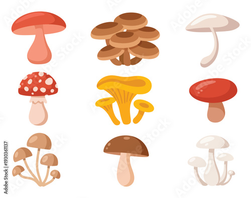 A Collection of Diverse Cartoon Mushrooms in Various Colors and Styles