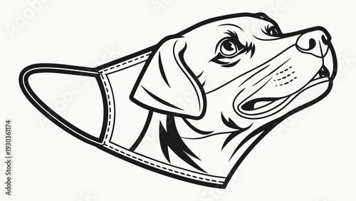 Playful dog wearing face mask looking up curiously