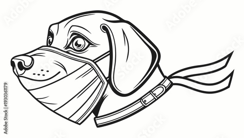 Cute dog wearing muzzle with collar outdoors