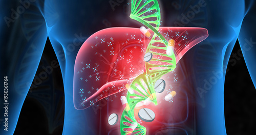 3D medical illustration of a human liver and gallbladder integrated with glowing DNA double helix strands and falling pharmaceutical capsules on a professional scientific blue background.
