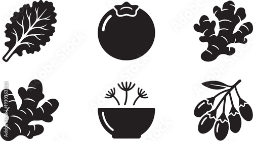 Superfood Nutrition, Healthy Organic Ingredients and Antioxidant Rich Food Silhouette Icon Set Vector Illustration