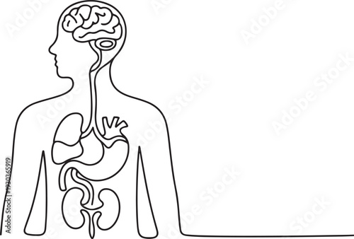 A disorder in which nervous system control over the functions of internal organs is impaired. Hand drawn problem in the work between the brain and internal organs.one line vector illustration