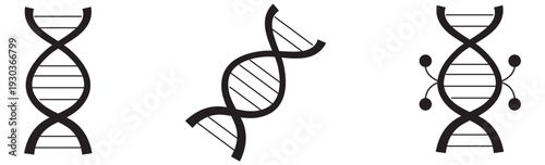 Dna double helix structures and replication process