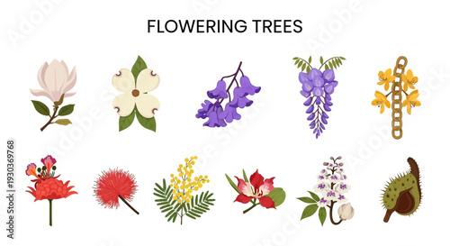 Ten distinct illustrations of flowering tree blossoms and seed pods arranged in two rows