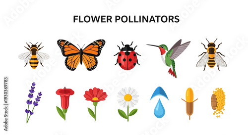 Illustrations of five pollinators above five corresponding plantresource icons