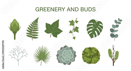 Illustration of ten different types of greenery and buds on a white background