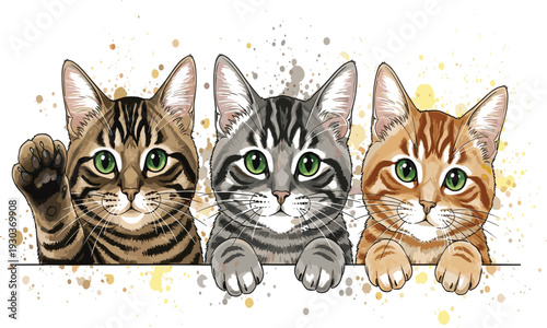 Cute tabby kittens peeking over line vector illustration, three playful cats with big green eyes and watercolor splash for kids nursery pet designs