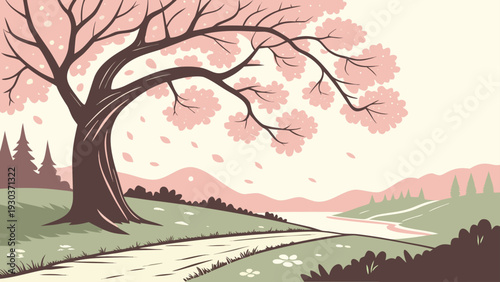 cherry blossom in spring