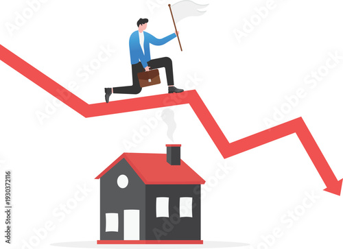 Professional Housing Market Crash and Strategic Real Estate Downfall