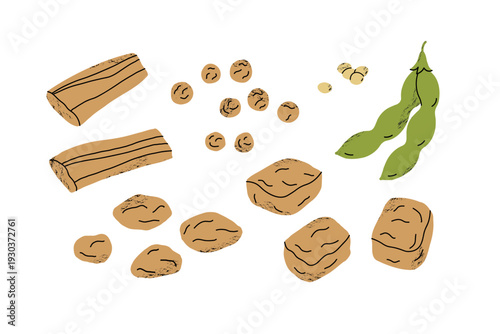 Soy products. Hand drawn Soybeans, edamame pods, tofu. Organic plant meat. For vegan and healthy eating. Food and drink. Design for logo, label, card, print, paper. Vector on isolated background