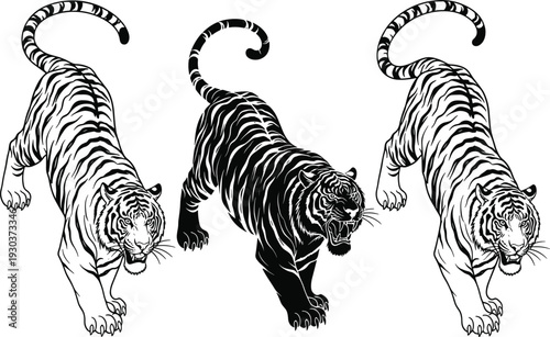 Triple tiger silhouette set vector illustration, black prowling stalking tigers with fierce poses for wildlife strength power tattoo logo and bold designs