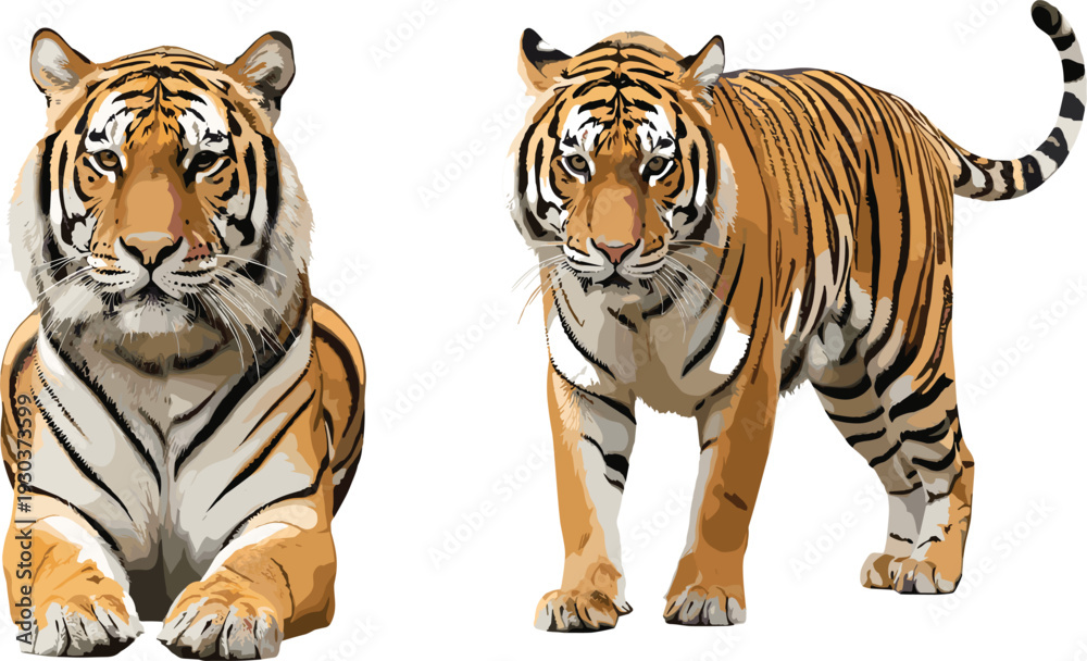 Obraz premium Metallic chrome tiger duo vector illustration, shiny orange striped sitting and standing tigers for luxury wildlife modern decor tattoo logo and power designs