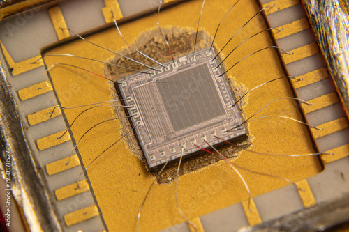 Close up of electronic silicon chip 