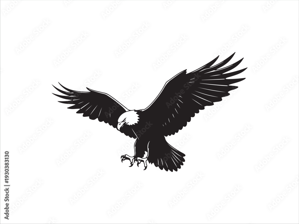 Fototapeta premium Black and white eagle bird flying with outstretched wings in mid air