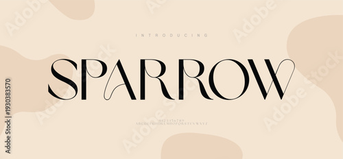 Elegant awesome, luxury alphabet letters font and number. unique serif font. Classic Lettering Minimal Fashion Designs. Typography fonts regular uppercase and lowercase. vector illustration
