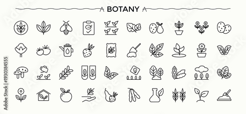 Botany line icon set. Organic icons for application. Collection for mobile and web apps. Plant linear icon set. Vector illustration. Pixel perfect.