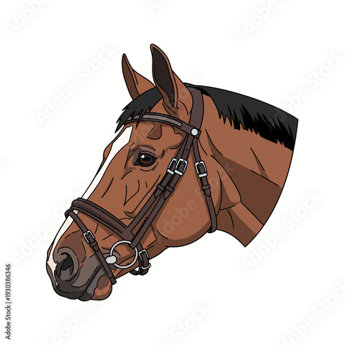 Equestrian horse head illustration with english riding bridle