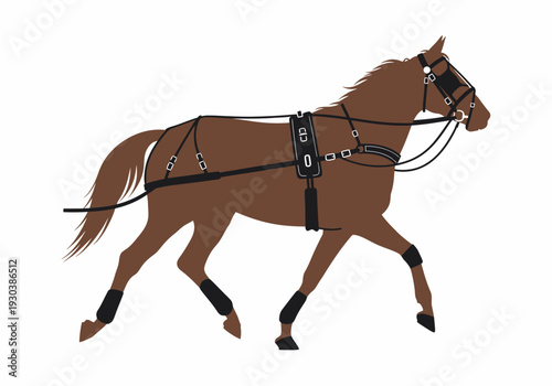 Standardbred horse in full harness racing gear performing pace gait